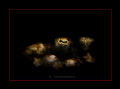   Flounders eye. took this photo CanonG11. used my diy snoot this. eye CanonG11  